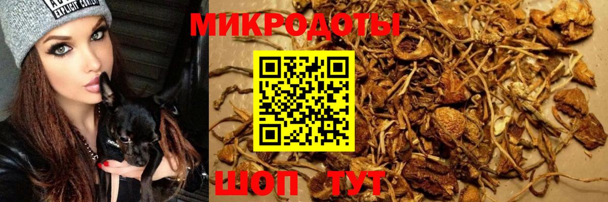 Псилоцибиновые грибы мицелий Бугуруслан